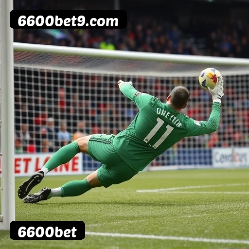 FAQ 6600bet Brasil - Perguntas frequentes sobre bônus, PIX, RTP, APP mobile e VIP